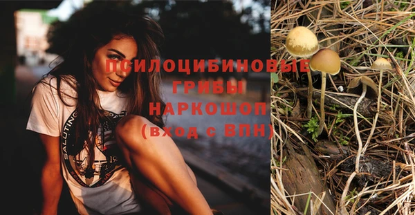дурь Алзамай