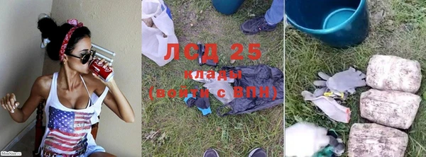 дурь Алзамай