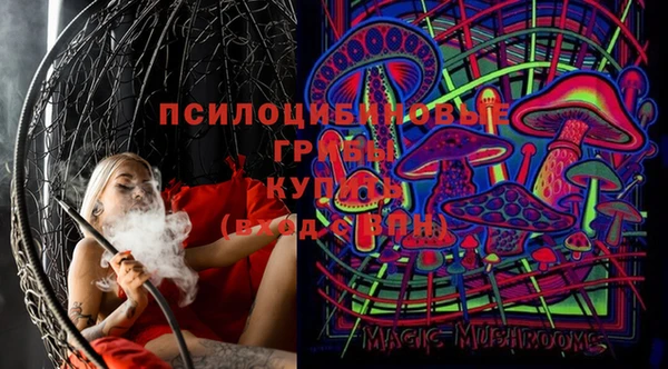 PSILOCYBIN Костерёво